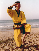 Le maître Hoang Nam pratiquant le kung-fu Wutao